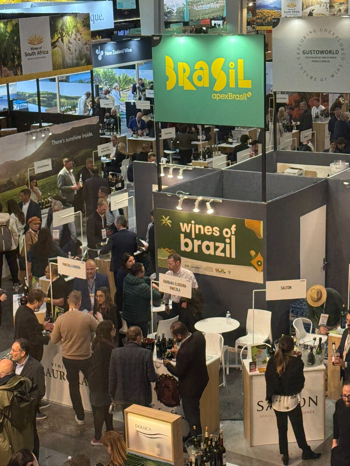 Exportações de vinhos e espumantes brasileiros crescem 23,73% no primeiro semestre e reforçam avanço do Brasil no mercado internacional