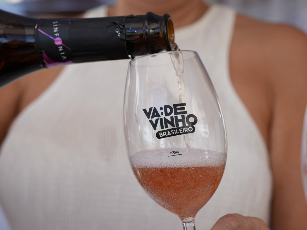 Vai de Vinho Brasileiro Festival ocupa a Redenção com 19 vinícolas, gastronomia e experiências ao ar livre