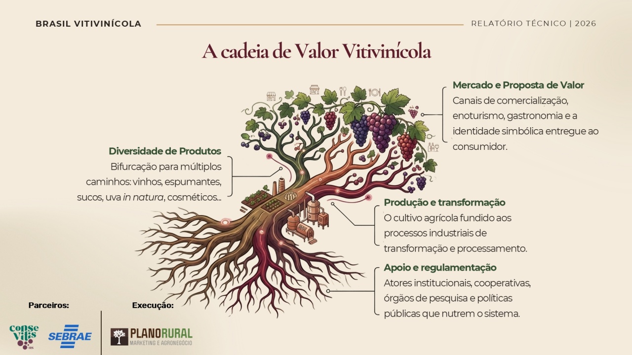 Estudo aponta diversidade como diferencial estratégico da vitivinicultura brasileira