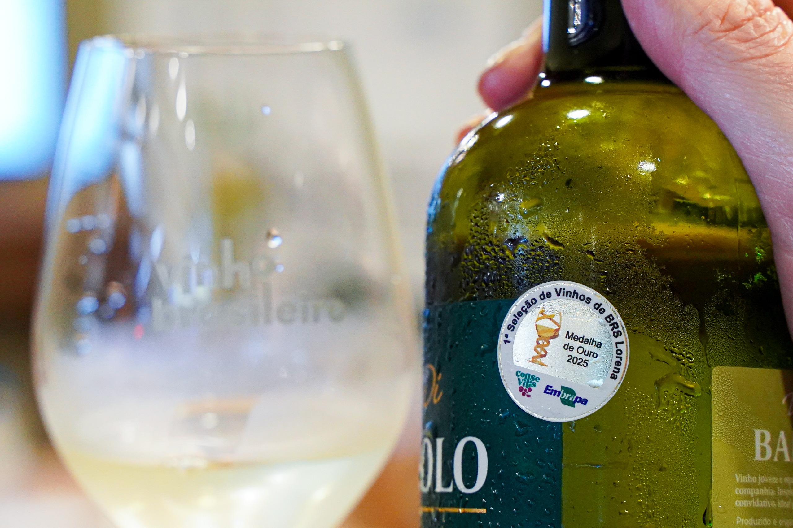 Inscrições abertas para a 2ª Seleção de Vinhos de BRS Lorena