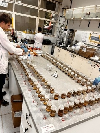 Estudo com 500 amostras de solo qualifica manejo nutricional de vinhedos da Serra Gaúcha