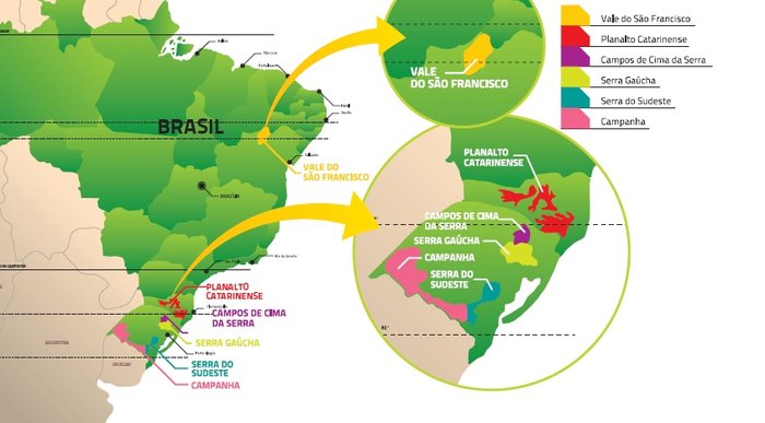 Principais regiões produtoras de vinho no Brasil
