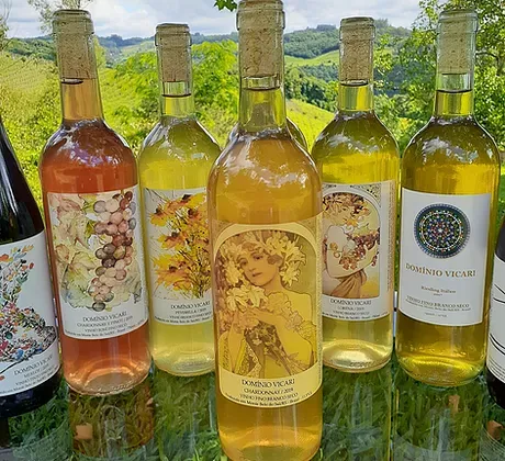 Domínio Vicari