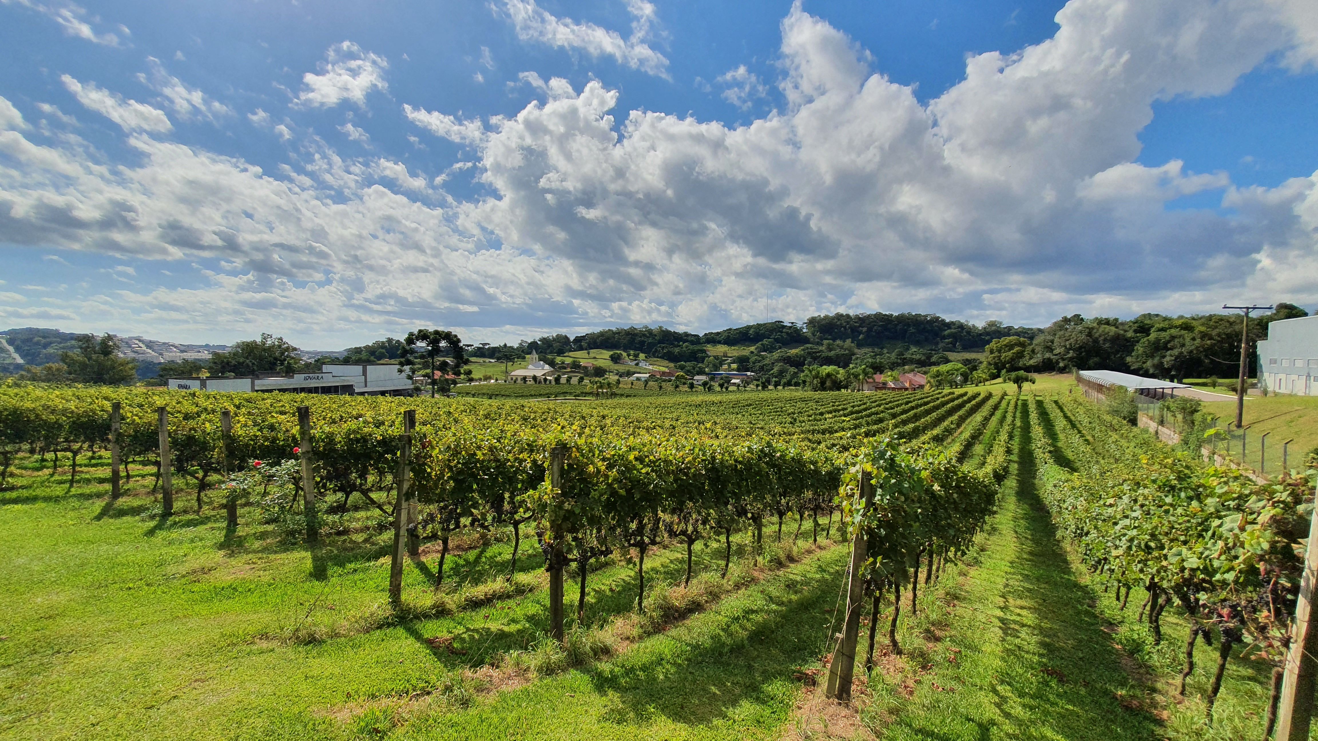 Lovara Vinhos Finos