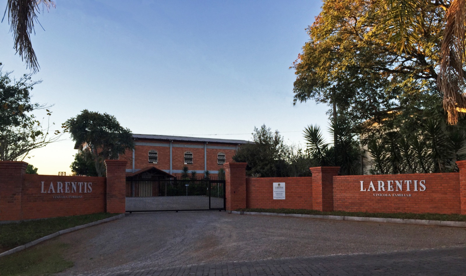 Larentis